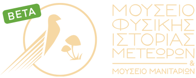 ΜΟΥΣΕΙΟ ΜΑΝΙΤΑΡΙΩΝ